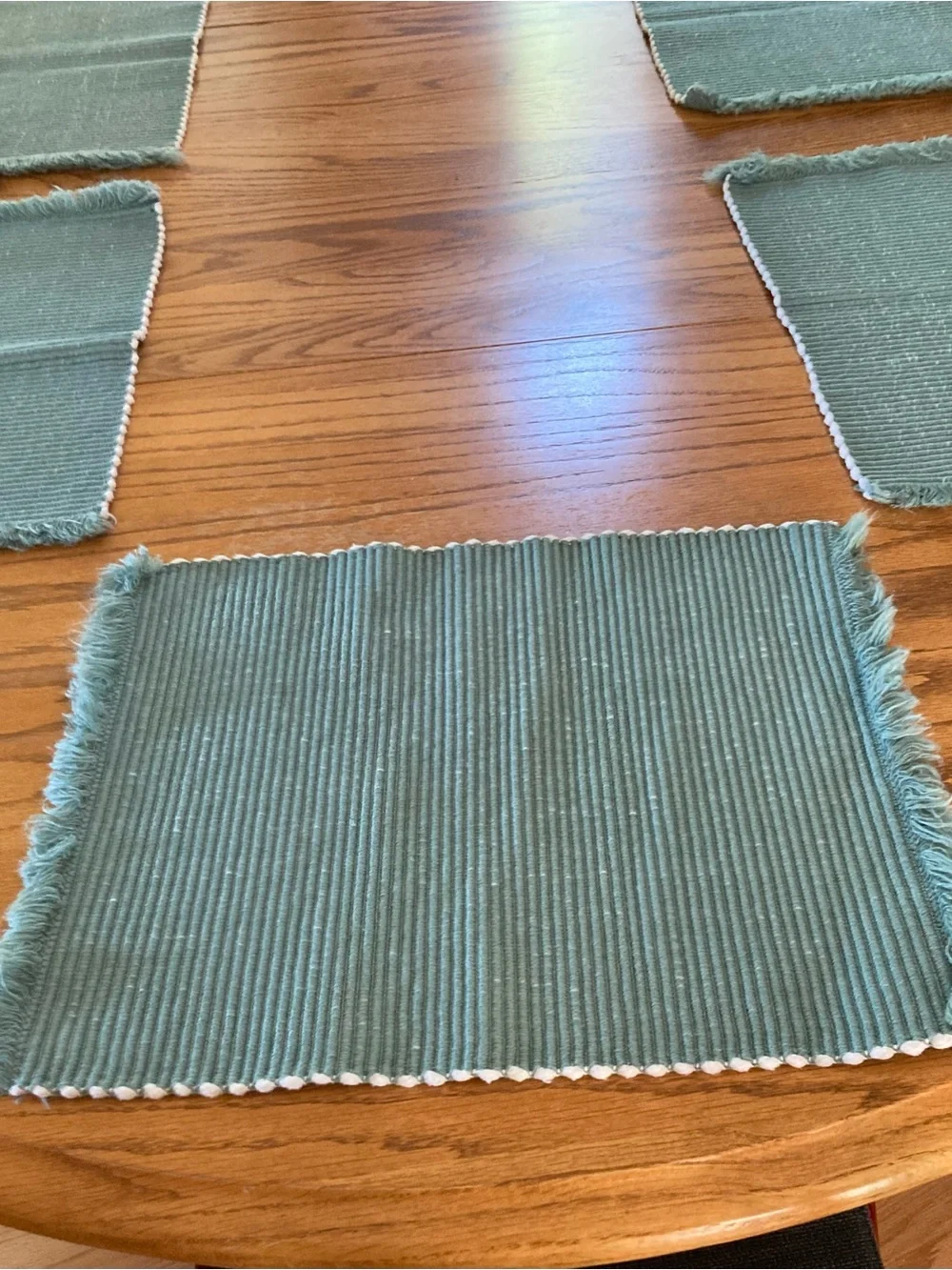 Vintage Placemats - Woven Reversible w/ Fringe - Sage Green - set of 6